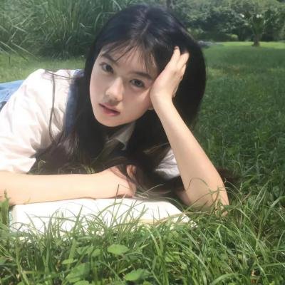 孤鸟罗宾